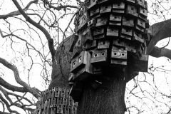 Birdhouses