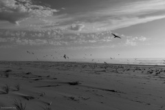 Long Beach, Washington