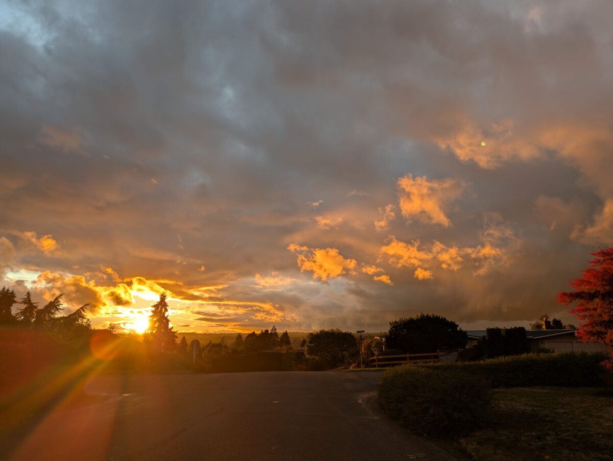 Making Technology Choices That Last